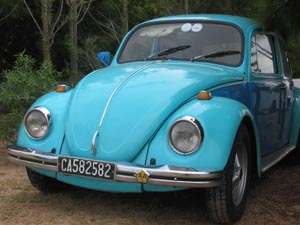Volksie World VW Beetle, Volkswagen Kombi, Golf, Caravelle ...